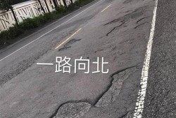 爆料公社图片大全集最新,视觉盛宴，揭秘生活百态