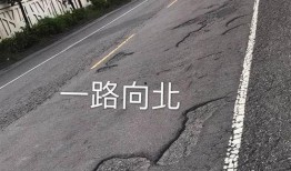 爆料公社图片大全集最新,视觉盛宴，揭秘生活百态