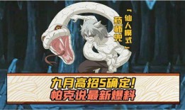 帕克最新爆料图片