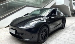 特斯拉陶琳最新爆料,揭秘特斯拉未来发展方向与技术创新