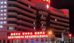 西安最新爆料头条,揭秘城市热点事件背后的真相