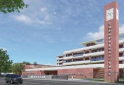 博达学院最新爆料信息,揭秘学院内部改革与未来发展动向
