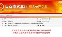 临汾爆料最新消息今天,最新爆料揭示惊人真相，事件进展及影响深度解析”