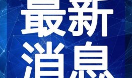 深圳男子爆料新闻视频最新,揭露惊人内幕，引发社会关注