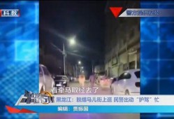 五常街道爆料视频最新,揭秘社区生活新动态