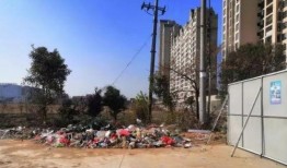 最新爆料黄梅,揭秘背后惊人真相