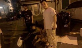 进贤爆料纵火案件最新,警方全力追查嫌疑人身份