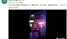 屯子最新爆料视频,惊人内幕大公开！