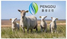 鹏都农牧养殖场最新爆料,揭秘养殖场背后的秘密与挑战