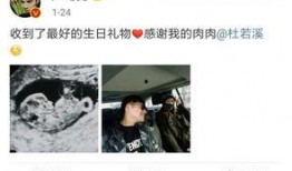 老杨最新爆料视频大全,揭秘娱乐圈幕后真相