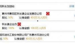 惠阳秋长最新爆料,揭秘神秘项目背后的真相