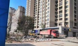 最新爆料黄梅,揭秘背后惊人真相